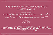 Pink Culture Modern Brush Font, a Script Font by RantautypeStudio (Thumbnail 11 of 13)