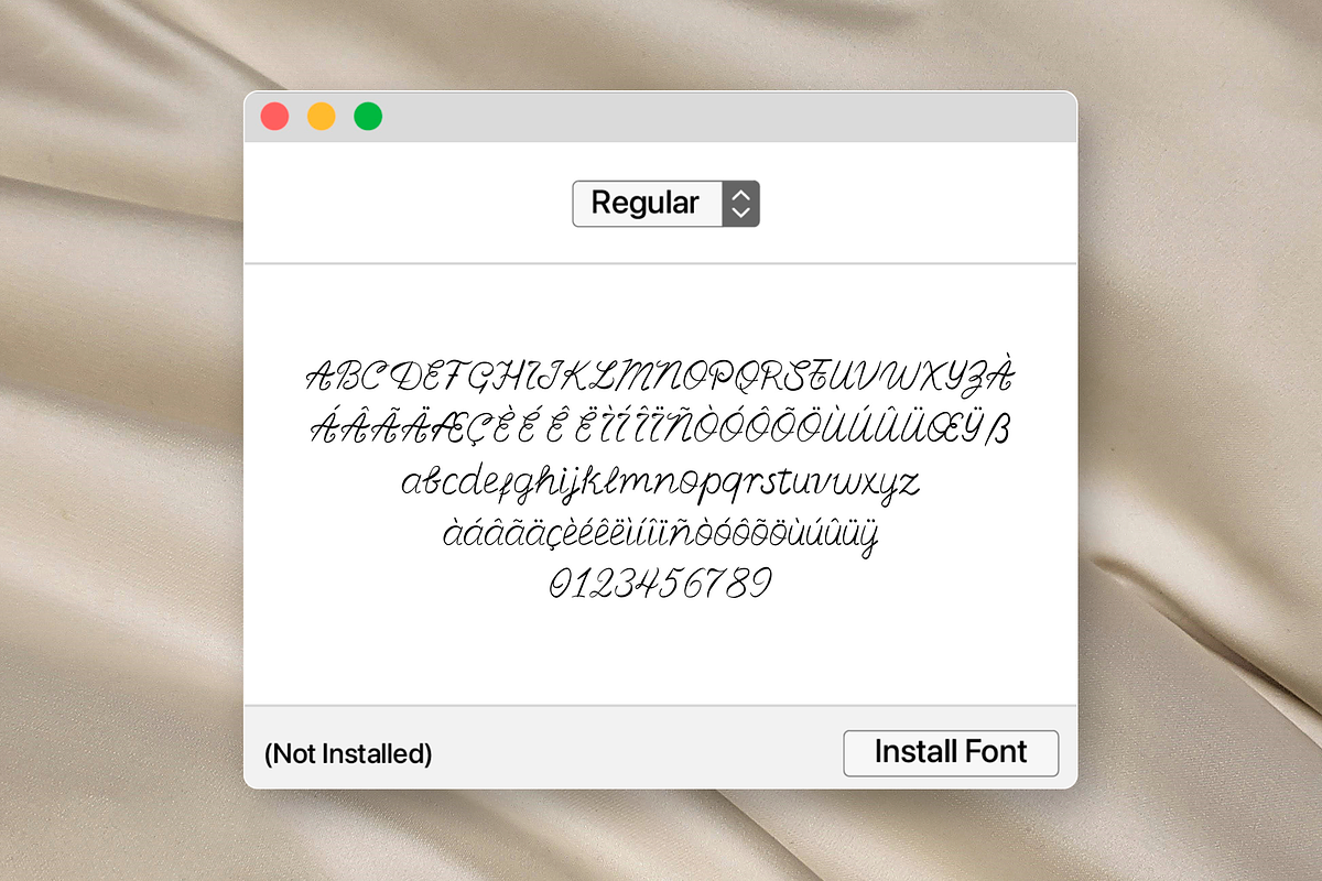 Aesthetic Elegant Romantic Script, a Script Font by Nonceni (Photo 12 of 12)