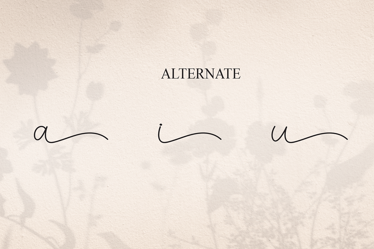 Roselya | Script Font, a Handwritten Font by Scratchones (Photo 7 of 8)