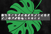 Tropical Leaves Photoshop Brushes, a Brush Add-On by ArtistMef (Thumbnail 2 of 4)
