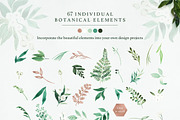Botanist Watercolor Greenery Leaves, a Texture Illustration by Momo Studio (Thumbnail 5 of 9)