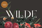 Vintage Wild Flowers Bouquet, an Illustration by La Paloma (Thumbnail 1 of 3)