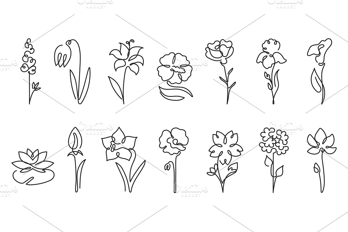 Flowers botanical blossom and floral, an Object Illustration by winwin.art