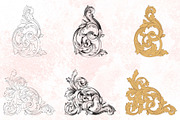 Vector Baroque Ornament elements, a Decorative Illustration by Samira (Thumbnail 6 of 11)