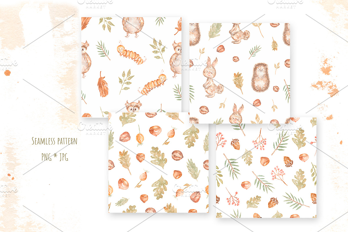 Cute Woodland Friends Collection, an Animal Illustration by MayaNavits (Photo 9 of 12)