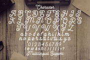 Anelka Fambuya - Monoline Retro Font, a Script Font by StringLabs (Thumbnail 13 of 14)