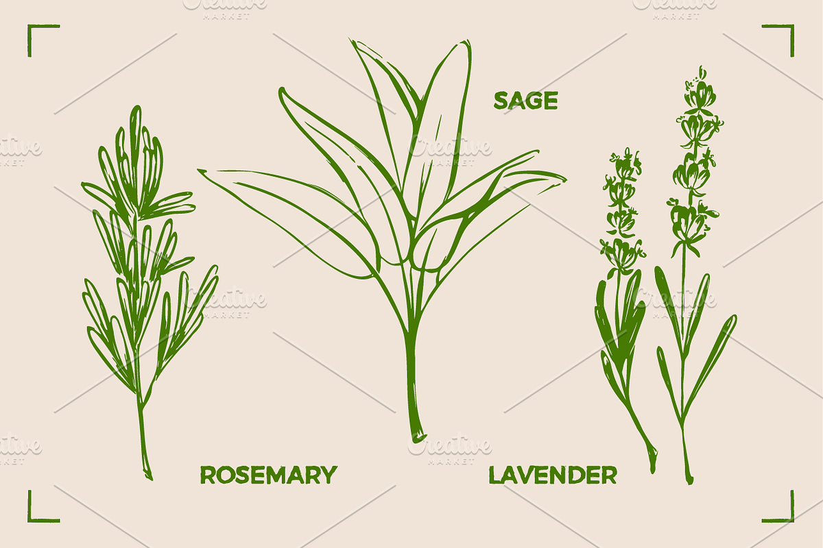 AROMATHERAPY (26 illustrations), a Healthcare Illustration by Bonfloret Studio (Photo 5 of 11)