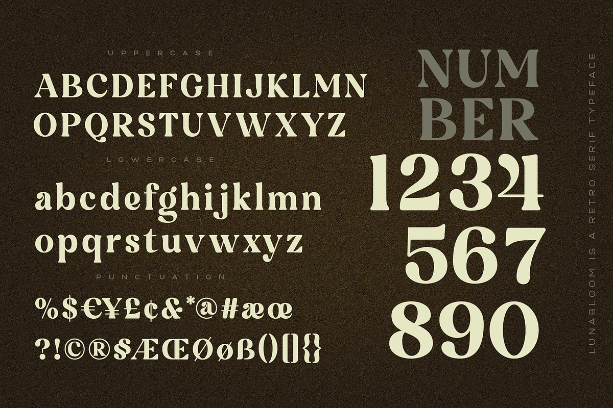 Luna Bloom - Classic Retro Vintage, a Serif Font by Annivers Type (Photo 7 of 10)