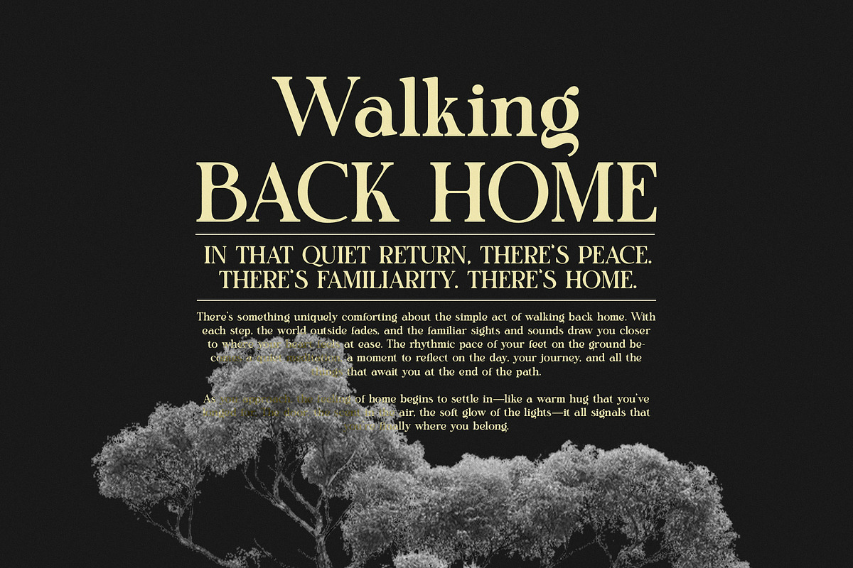 Fegiran Serif Font, a Serif Font by Graphicxell (Photo 7 of 8)