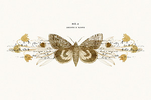 Gold Vintage Moths Illustration Pack