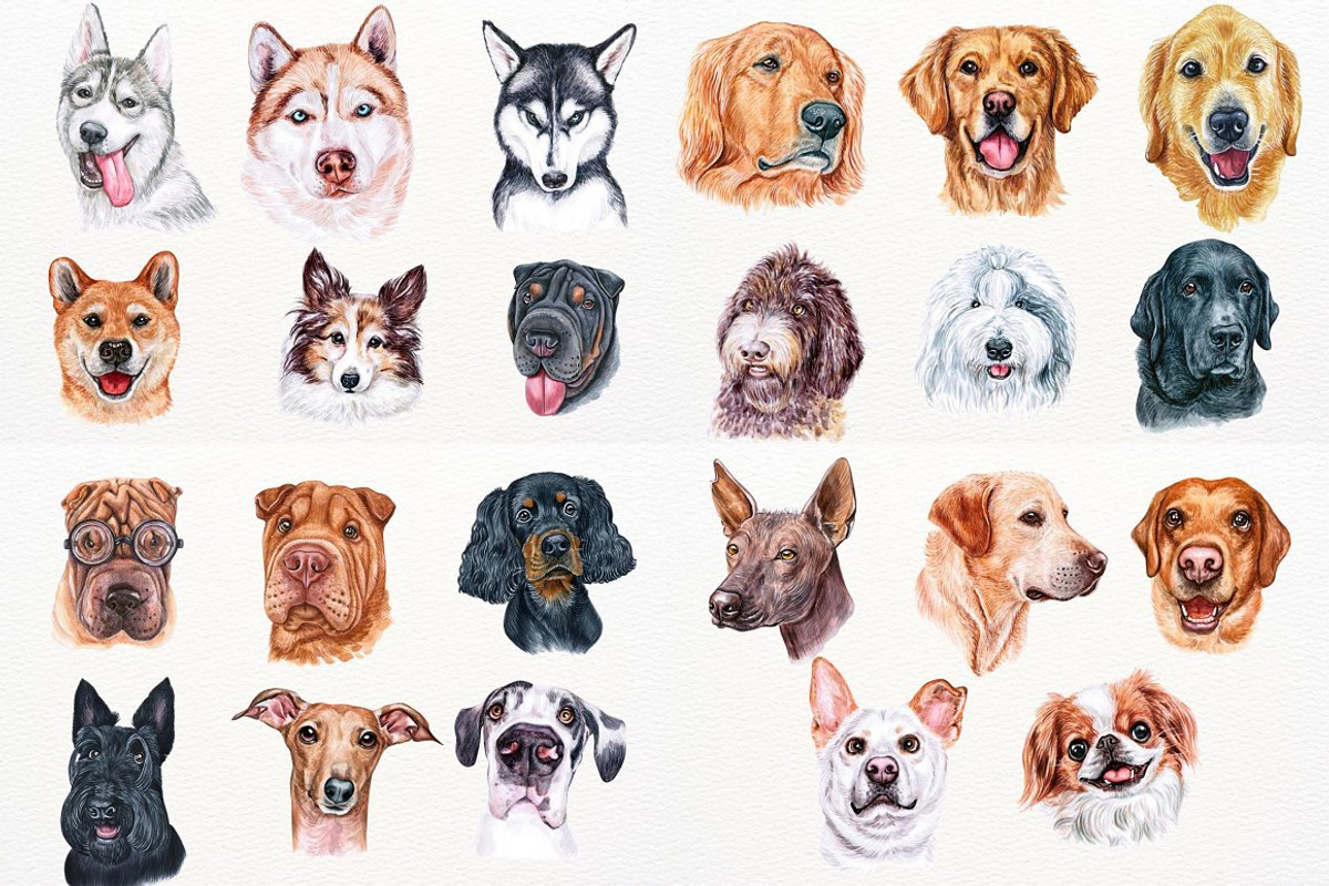 100+ Watercolor Dog Breeds - UPDATE, an Animal Illustration by ArtbyHien (Photo 5 of 9)
