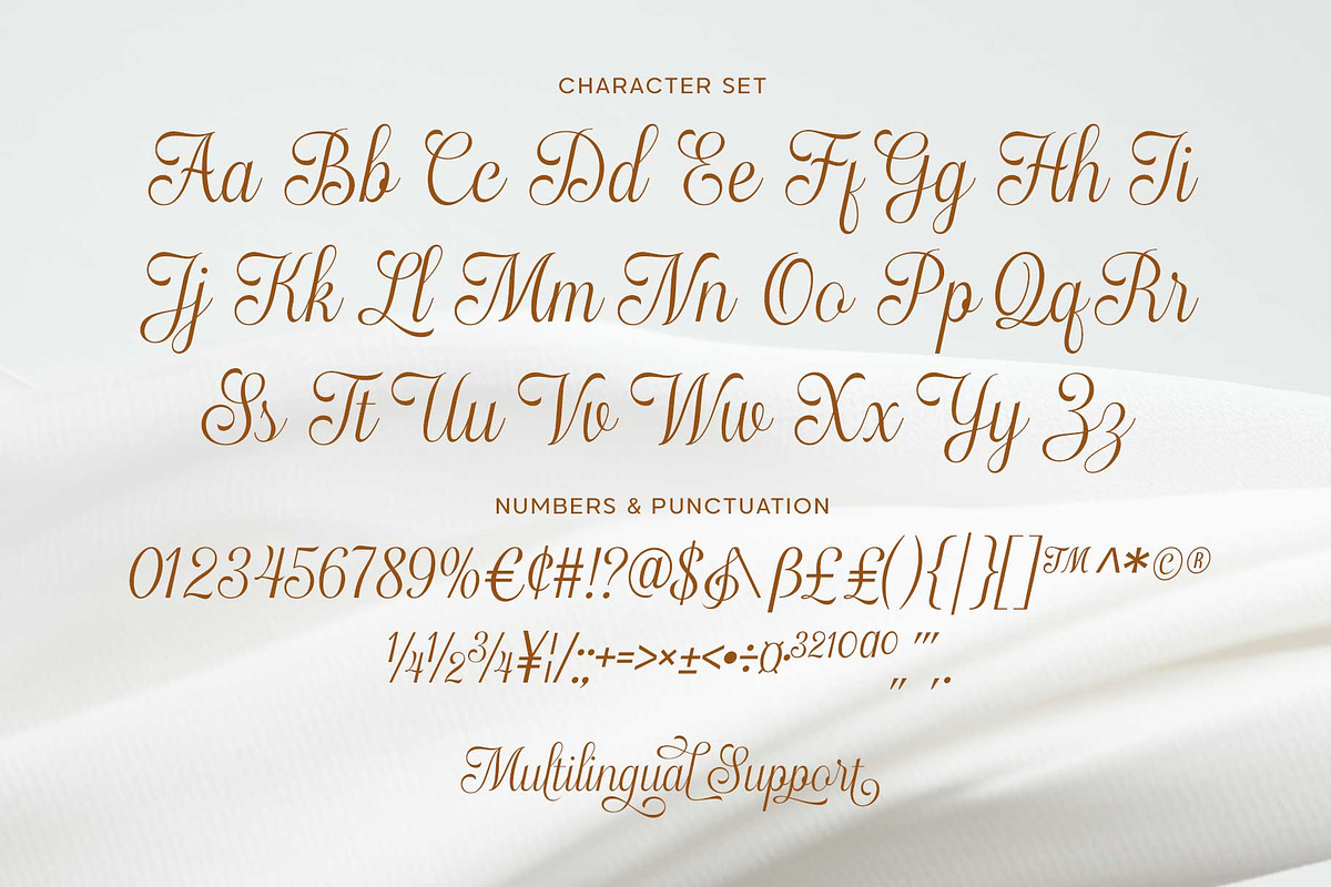 Haydenta - Calligraphic Script, a Script Font by Novitype (Photo 12 of 12)