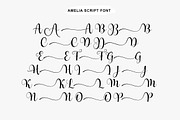 Ameliora - 3 Font, a Script Font by MjStudio31 (Thumbnail 7 of 15)