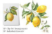 Lemon Garden Watercolor Cliparts, a Decorative Illustration by Jeanna Draw (Thumbnail 2 of 11)