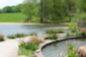 Water Garden