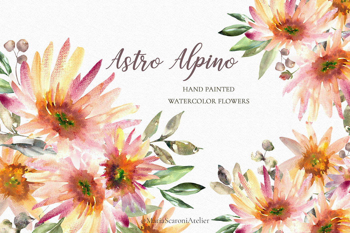 Astro Alpino - Watercolor Flowers, a Decorative Illustration by MariaScaroniAtelier (Photo 1 of 7)