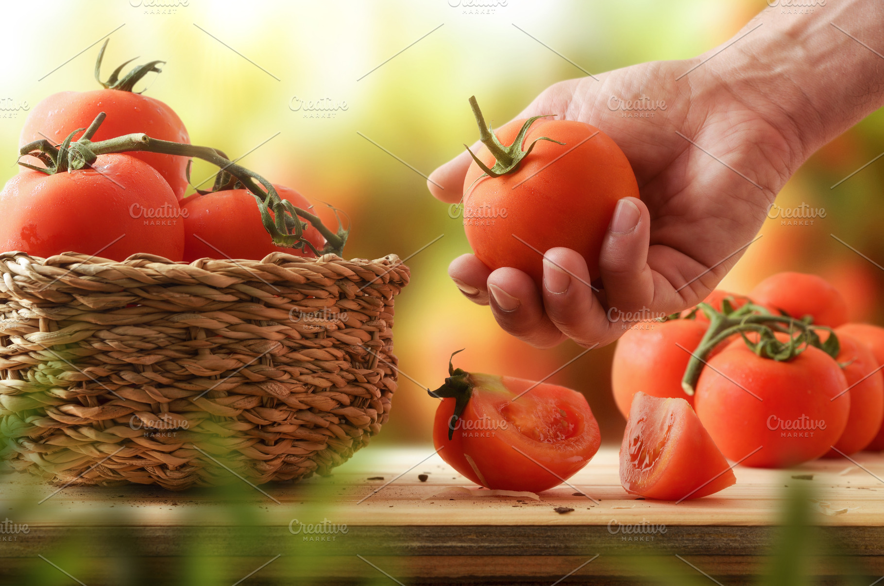 Adult Hand Holding a Ripe Garden Tomato, a Food & Drink Photo by Davizro's Market