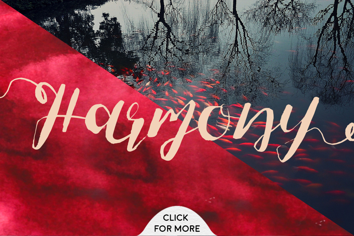 Fish and Sea Typeface+Extras preview 8