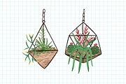 Florarium composition banner, a Decorative Illustration by Good Studio (Thumbnail 3 of 3)