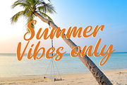 Brisbane, a Script Font by Larin Type Co. (Thumbnail 7 of 9)