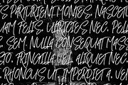 Silver Made Font, a Script Font by Eltypesstudio (Thumbnail 9 of 10)