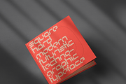 Berlin, a Sans Serif Font by Bogdan Rosu (Thumbnail 10 of 16)