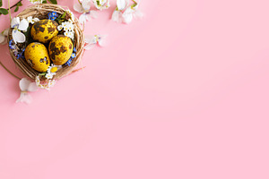 Happy Easter! Modern dyed eggs in nest and spring blossom flat l, a Holiday Photo by Sonjachni