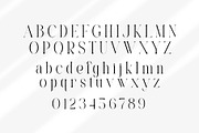 Castica - Modern Serif Font, a Serif Font by Aqeel_Art (Thumbnail 10 of 12)