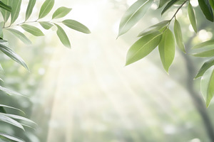 Beautiful blurred background of an e, a Photo by Dvoevnore photos