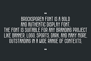 Brocksporen, a Serif Font by QR Design Studio (Thumbnail 4 of 7)