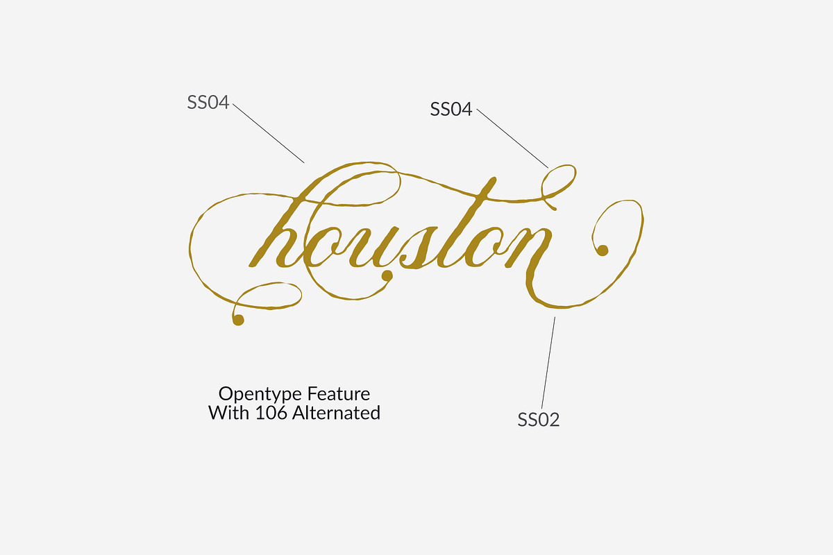 Analogous | Elegant Calligraphy, a Script Font by Analogous (Photo 13 of 14)