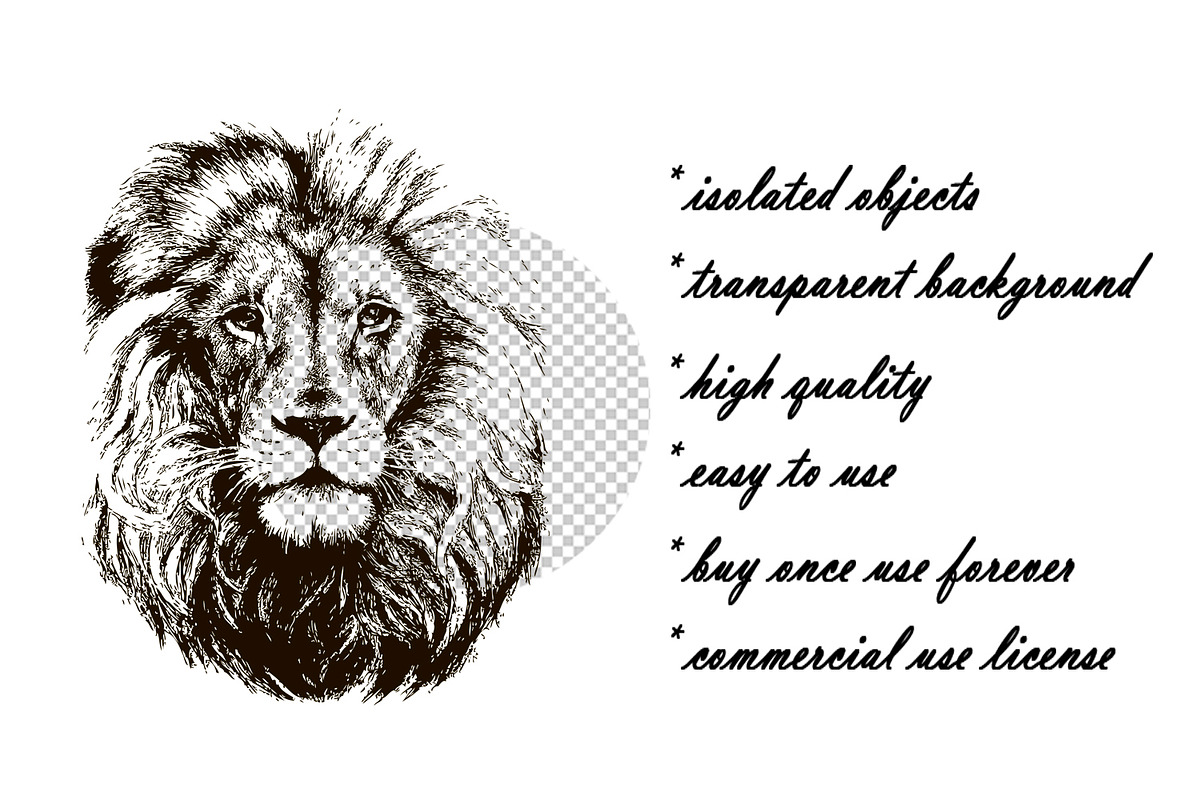 Lion head hand drawn vector, an Animal Illustration by AnastasiyaOleynik (Photo 3 of 3)