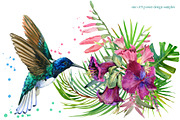 Watercolor Tropical plant & Bird, an Object Graphic by FineArt (Thumbnail 5 of 22)