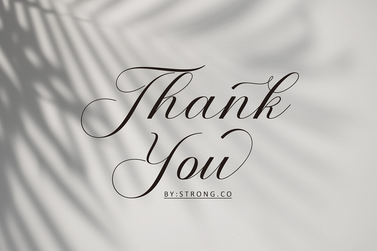 Palengue Script, a Script Font by Strong.co (Photo 7 of 7)
