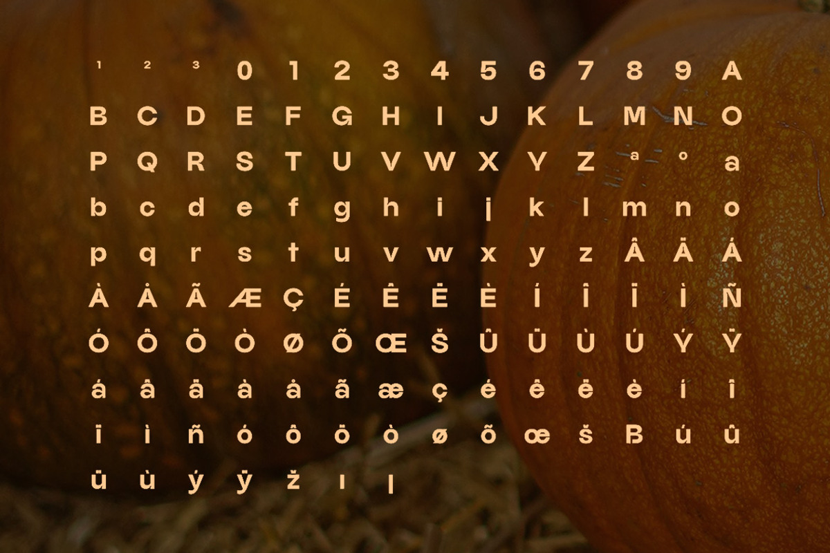 Carvello - Modern & Seasonal Sans, a Sans Serif Font by Webhance Studio (Photo 12 of 12)