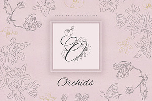 Orchids. Line Art Collection