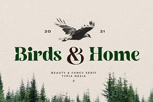 Birds And Home - Bold Serif