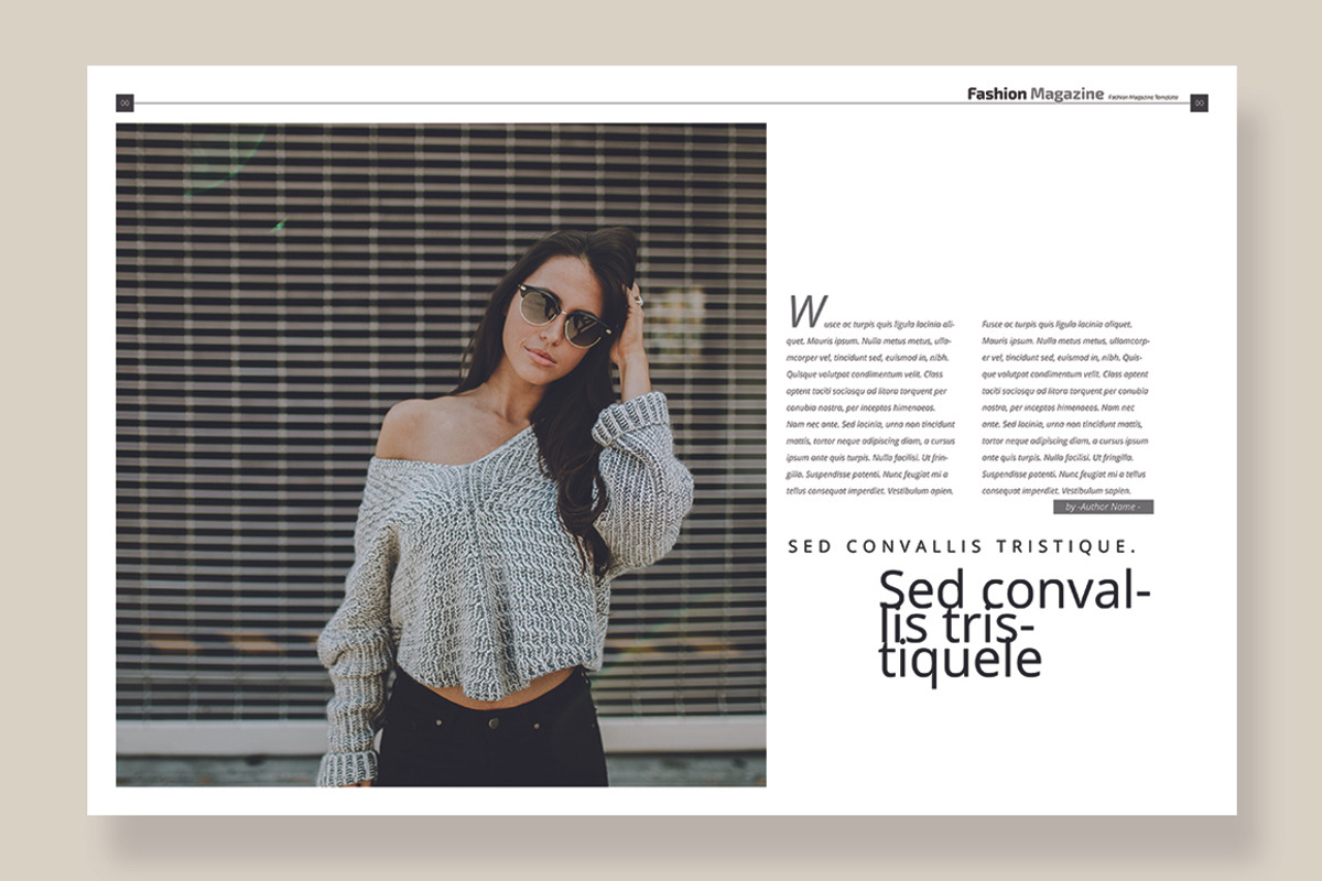 Magazine Template 04, a Magazine Template by pmvch (Photo 11 of 12)
