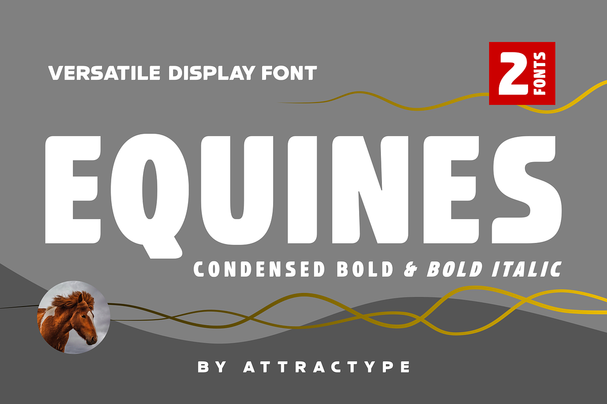 Equines Condensed Bold & Italic Pack, a Sans Serif Font by Attractype (Photo 1 of 6)