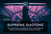 Duotone Lightroom Presets, an Action Add-On by Lavinsky Art Store (Thumbnail 1 of 19)