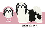 Dog breeds Havanese Dog, an Animal Illustration by Nenilkime (Thumbnail 1 of 3)