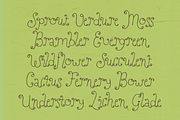 Perfect Sprouts | Whimsical Font, a Handwritten Font by type peace (Thumbnail 2 of 20)