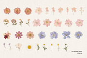 242 Vintage Dried Flowers, an Object Graphic by Ksuview (Thumbnail 6 of 11)