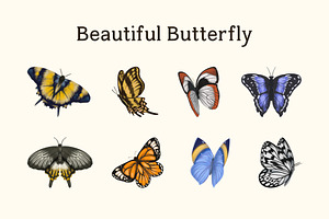 Beautiful Butterfly