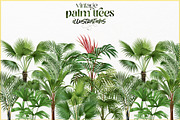 Vintage palm tree illustrations, a Decorative Illustration by Natalka Dmitrova art (Thumbnail 2 of 8)
