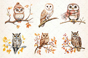 Autumn Owl Clipart Sublimation, an Illustration by Dream Creation (Thumbnail 2 of 6)