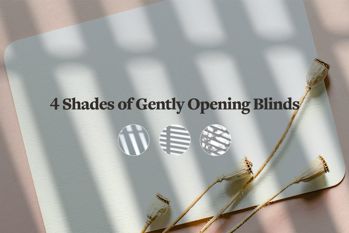 Shadow Backdrops Videos Collection, a Mockup by rebrandy (Photo 9 of 20)