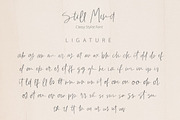 Still Mind | Classy Font, a Script Font by Artstudio (Thumbnail 9 of 9)