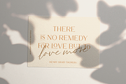 Cherston, a Sans Serif Font by Larin Type Co. (Thumbnail 11 of 15)