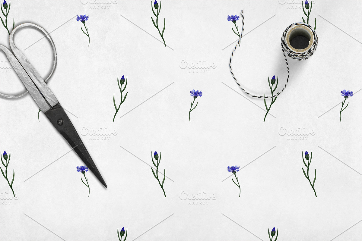 Wildflowers, stripes, checks bandle, a Pattern Graphic by Oksana Dovhopol Art (Photo 16 of 23)